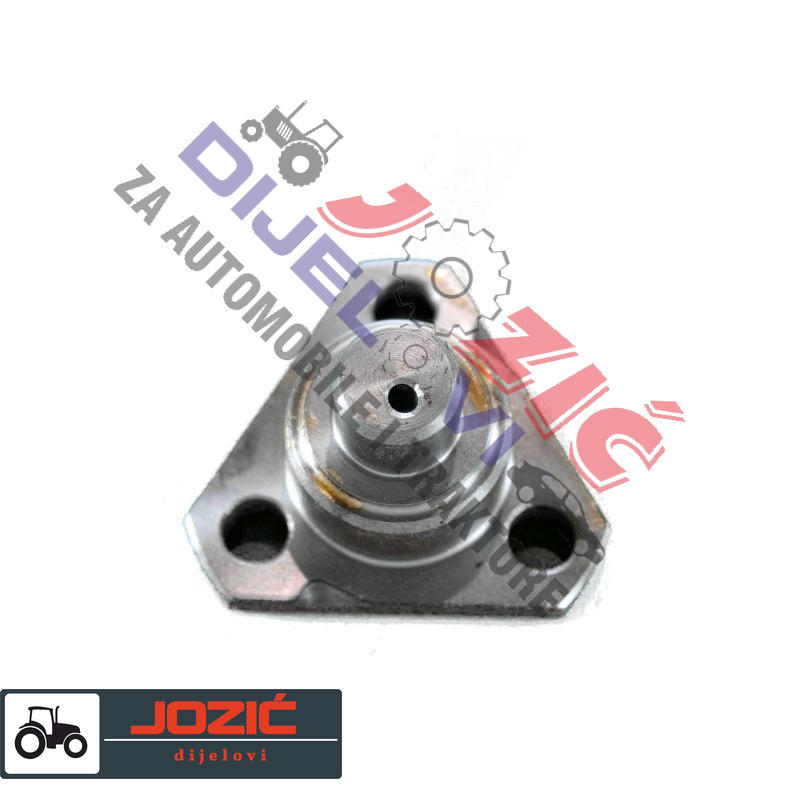 Daisy on the Ohoopee